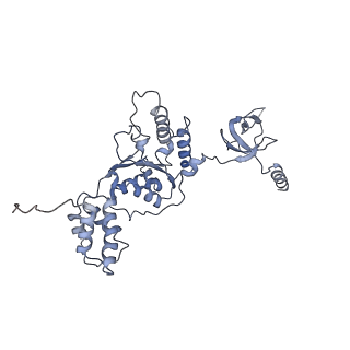 14204_7qxw_F_v1-0
Proteasome-ZFAND5 Complex Z+D state