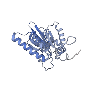14204_7qxw_G_v1-0
Proteasome-ZFAND5 Complex Z+D state