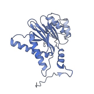 14204_7qxw_H_v1-0
Proteasome-ZFAND5 Complex Z+D state