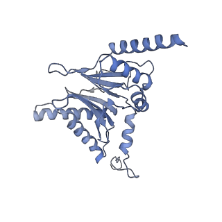 14204_7qxw_I_v1-0
Proteasome-ZFAND5 Complex Z+D state