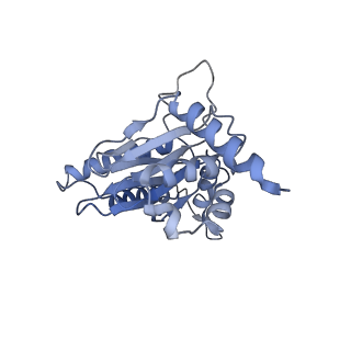 14204_7qxw_J_v1-0
Proteasome-ZFAND5 Complex Z+D state