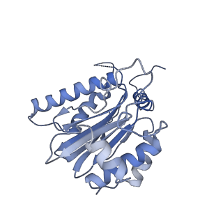 14204_7qxw_K_v1-0
Proteasome-ZFAND5 Complex Z+D state