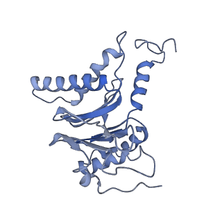 14204_7qxw_L_v1-0
Proteasome-ZFAND5 Complex Z+D state