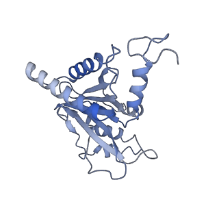 14204_7qxw_M_v1-0
Proteasome-ZFAND5 Complex Z+D state