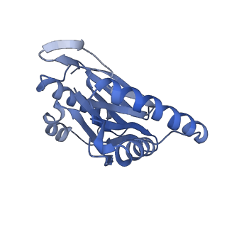 14204_7qxw_N_v1-0
Proteasome-ZFAND5 Complex Z+D state