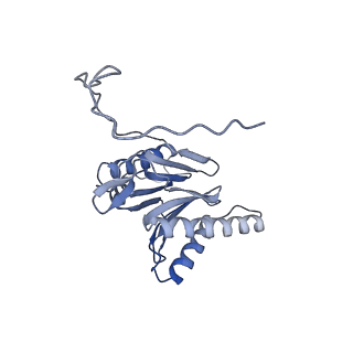 14204_7qxw_O_v1-0
Proteasome-ZFAND5 Complex Z+D state