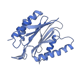 14204_7qxw_P_v1-0
Proteasome-ZFAND5 Complex Z+D state