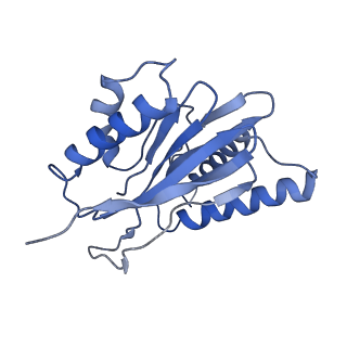 14204_7qxw_Q_v1-0
Proteasome-ZFAND5 Complex Z+D state