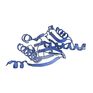 14204_7qxw_R_v1-0
Proteasome-ZFAND5 Complex Z+D state
