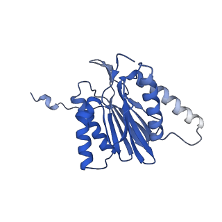 14204_7qxw_T_v1-0
Proteasome-ZFAND5 Complex Z+D state