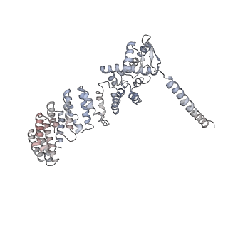 14204_7qxw_W_v1-0
Proteasome-ZFAND5 Complex Z+D state