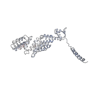 14204_7qxw_X_v1-0
Proteasome-ZFAND5 Complex Z+D state