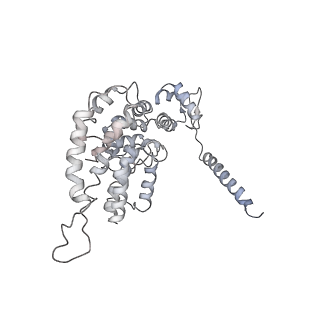 14204_7qxw_Y_v1-0
Proteasome-ZFAND5 Complex Z+D state