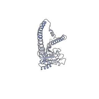 14204_7qxw_Z_v1-0
Proteasome-ZFAND5 Complex Z+D state