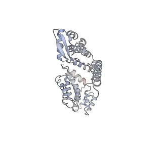 14204_7qxw_a_v1-0
Proteasome-ZFAND5 Complex Z+D state