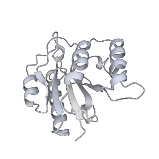 14204_7qxw_b_v1-0
Proteasome-ZFAND5 Complex Z+D state