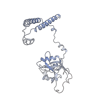 14204_7qxw_c_v1-0
Proteasome-ZFAND5 Complex Z+D state