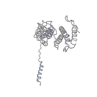 14204_7qxw_d_v1-0
Proteasome-ZFAND5 Complex Z+D state