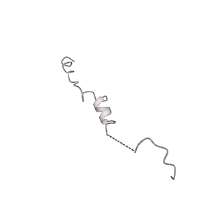 14204_7qxw_e_v1-0
Proteasome-ZFAND5 Complex Z+D state