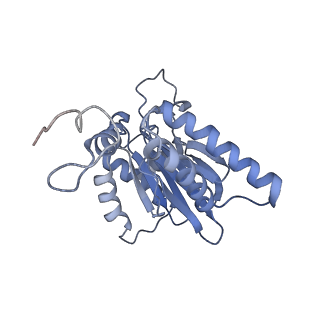 14204_7qxw_g_v1-0
Proteasome-ZFAND5 Complex Z+D state