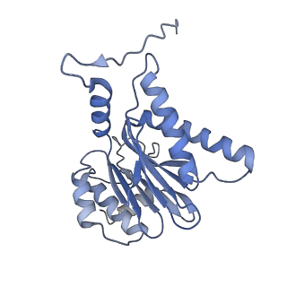 14204_7qxw_h_v1-0
Proteasome-ZFAND5 Complex Z+D state