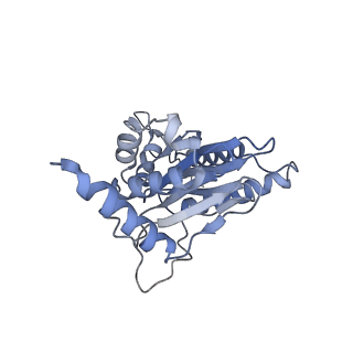 14204_7qxw_j_v1-0
Proteasome-ZFAND5 Complex Z+D state