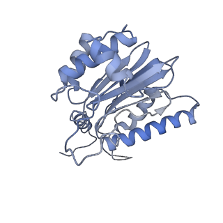 14204_7qxw_k_v1-0
Proteasome-ZFAND5 Complex Z+D state