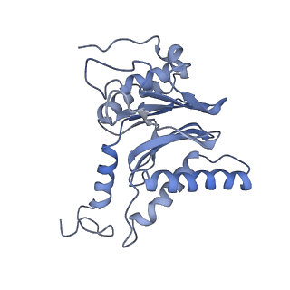14204_7qxw_l_v1-0
Proteasome-ZFAND5 Complex Z+D state