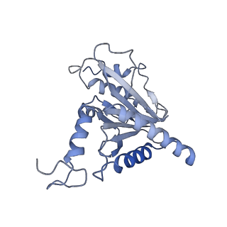 14204_7qxw_m_v1-0
Proteasome-ZFAND5 Complex Z+D state