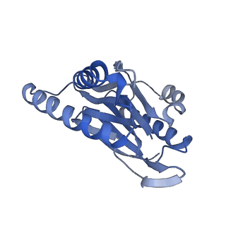 14204_7qxw_n_v1-0
Proteasome-ZFAND5 Complex Z+D state