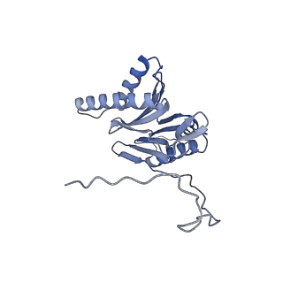 14204_7qxw_o_v1-0
Proteasome-ZFAND5 Complex Z+D state