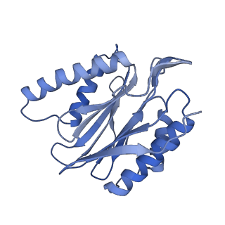 14204_7qxw_p_v1-0
Proteasome-ZFAND5 Complex Z+D state