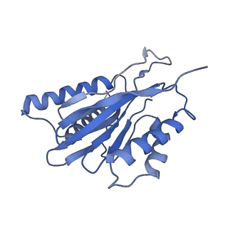14204_7qxw_q_v1-0
Proteasome-ZFAND5 Complex Z+D state
