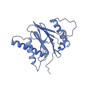 14204_7qxw_s_v1-0
Proteasome-ZFAND5 Complex Z+D state