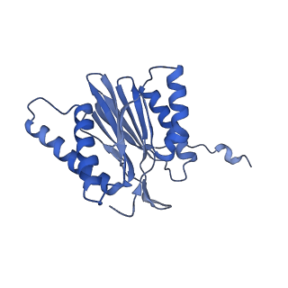 14204_7qxw_t_v1-0
Proteasome-ZFAND5 Complex Z+D state