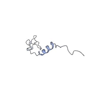 14204_7qxw_v_v1-0
Proteasome-ZFAND5 Complex Z+D state