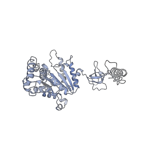 14205_7qxx_A_v1-0
Proteasome-ZFAND5 Complex Z+E state