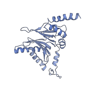 14205_7qxx_I_v1-0
Proteasome-ZFAND5 Complex Z+E state
