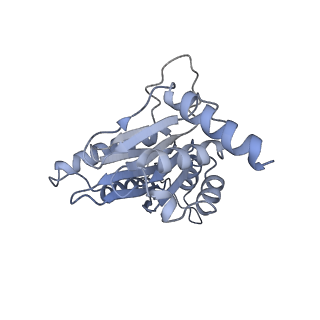 14205_7qxx_J_v1-0
Proteasome-ZFAND5 Complex Z+E state
