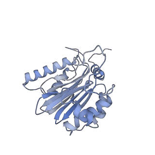14205_7qxx_K_v1-0
Proteasome-ZFAND5 Complex Z+E state