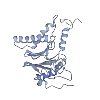 14205_7qxx_L_v1-0
Proteasome-ZFAND5 Complex Z+E state