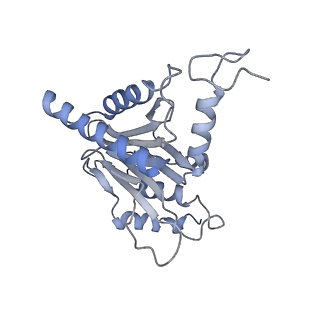 14205_7qxx_M_v1-0
Proteasome-ZFAND5 Complex Z+E state