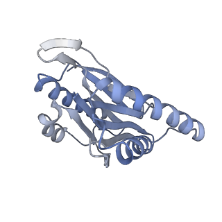 14205_7qxx_N_v1-0
Proteasome-ZFAND5 Complex Z+E state