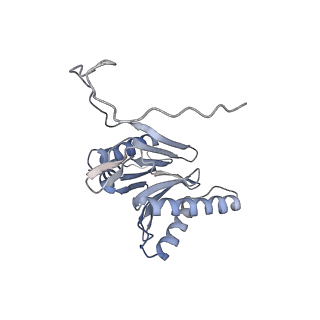 14205_7qxx_O_v1-0
Proteasome-ZFAND5 Complex Z+E state