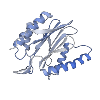 14205_7qxx_P_v1-0
Proteasome-ZFAND5 Complex Z+E state