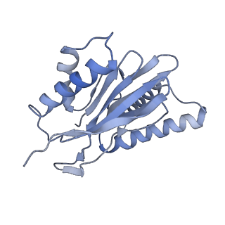 14205_7qxx_Q_v1-0
Proteasome-ZFAND5 Complex Z+E state