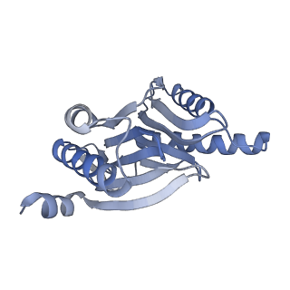 14205_7qxx_R_v1-0
Proteasome-ZFAND5 Complex Z+E state