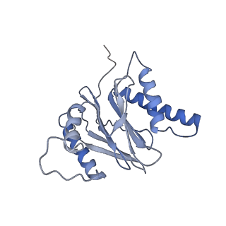 14205_7qxx_S_v1-0
Proteasome-ZFAND5 Complex Z+E state