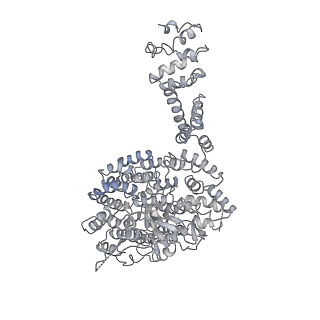 14205_7qxx_U_v1-0
Proteasome-ZFAND5 Complex Z+E state
