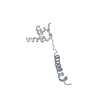 14205_7qxx_X_v1-0
Proteasome-ZFAND5 Complex Z+E state